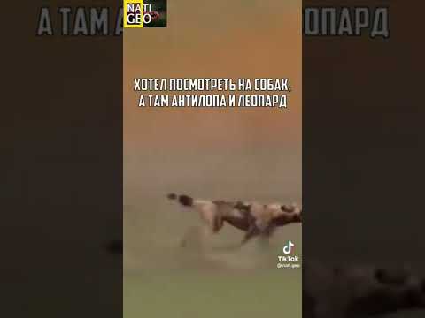 24 июля 2022