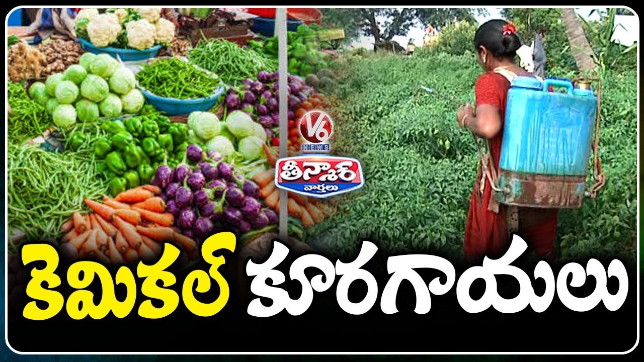 Toxic Substances Detected in Bengaluru Vegetables | V6 Teenmaar