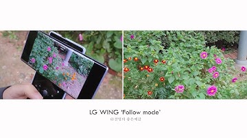 LG윙 짐벌모드 및 다양한 카메라로 촬영한 비교영상