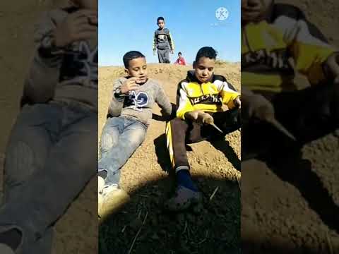 اول فيديو لقناه مملكه الصعيد يا رب يعجبكم 