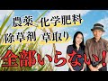 【有機農業】農薬・除草剤・草取り不要の米作りがスゴイ!【国際ジャーナリスト堤未果 x NPO法人民間稲作研究所 元理事長 稲葉光國】#令和の百姓一揆 #堤未果 #財務省解体デモ