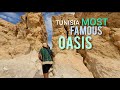  tunisia most famous oasis  tamerza  chebika