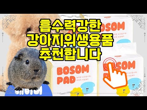 ❤️추천 강아지위생용품 대형 강아지패드 80매, 뛰어난 흡수력과 무향으로 깨끗한 공간 유지하세요! 🐾✨