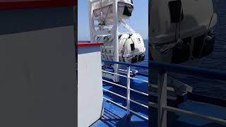 De Palma de Mallorca a Valencia con Nadia Martínez Vilar y Juan Vicente Plaza García 🌊♥️🦅🦂♥️🌊