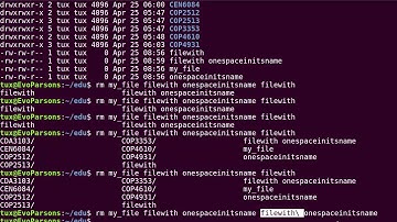 M02T2.1 - Intro to Linux - Bash Meta-Characters and Backslash Escaping