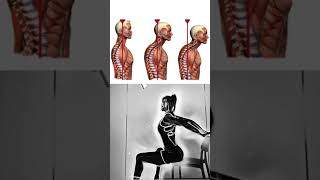 Body posture correction exercises #streching #physiotherapy #chiropractor #relax #doctor #yoga