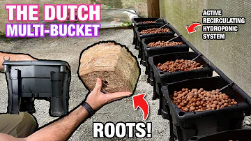 The Dutch Multi-Bucket Experiments
