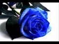 Una Rosa Blu...  Michele Zarrillo