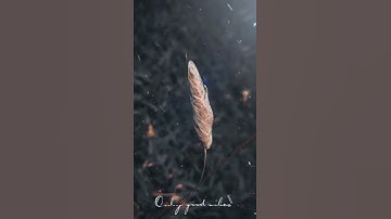 3d zoom effect on photo// tutorial is in my channel 😉  #shorts #3dzoom