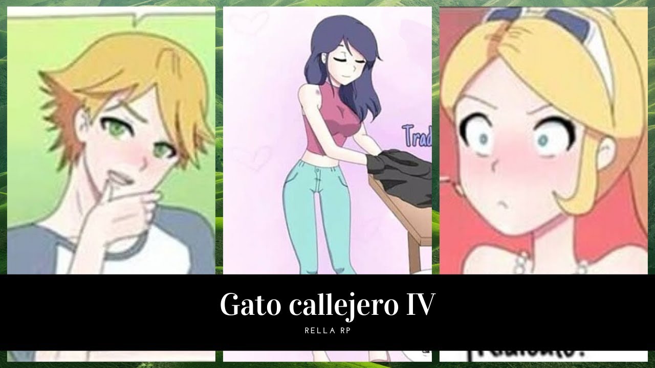 🐱Gato callejero🐱 PARTE 4 | Miraculous (Comic dub)