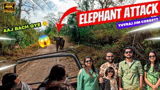 Elephant attack ho gya achanak  #yuvrajjimcorbett #elephent #corbettnationalpark