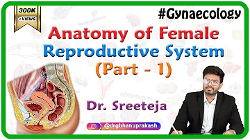Anatomy of the Female Reproductive system: Vagina, Cervix, Uterus, Fallopian tubes, Ovaries