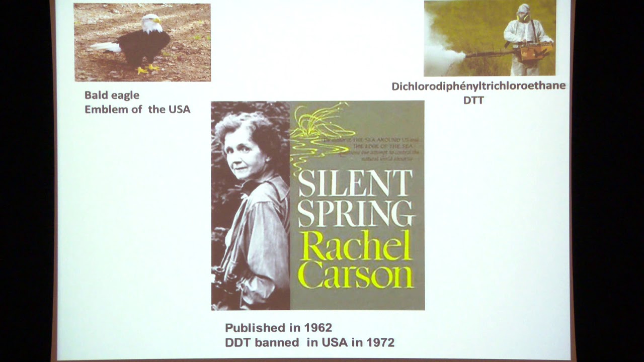Contamination chimique et perturbateurs endocriniens - Pr Fénichel - CHUNice