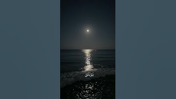 قرآن كريم | القارئ : محمد اللحيدان | من سورة : الفرقان "ويوم يعض الظالم على يديه"