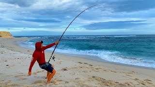 South Coast Beach Fishing 3.0