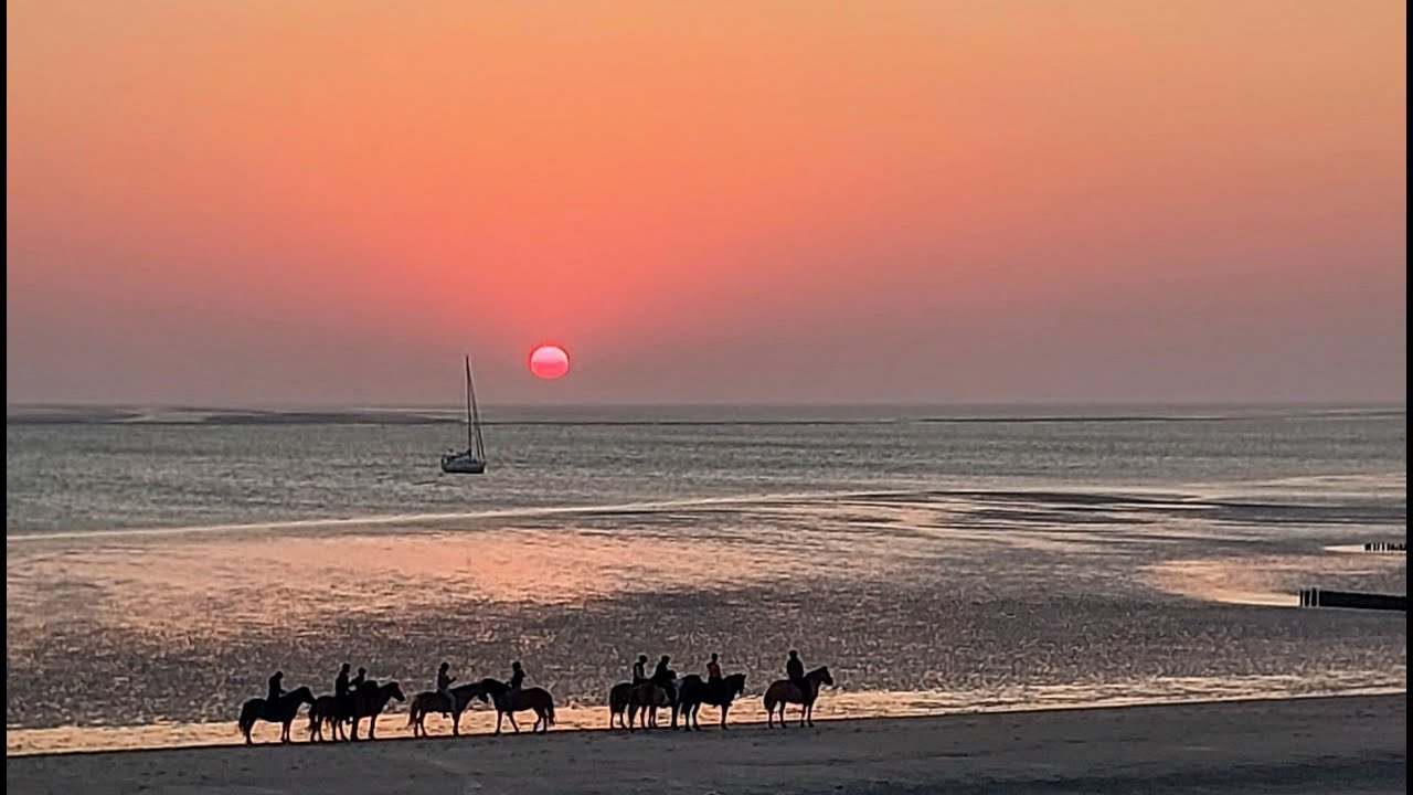 Seekajak Ostfriesland Runde 2024