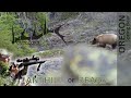 Anthill of Bears | 2020 Oregon Spring Bear | FULL EPISODE