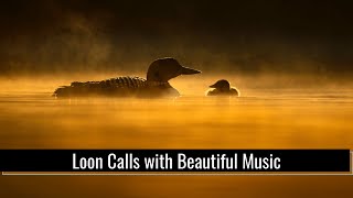 Loon Calls, Soft Music, Lakeside Sounds- 1 Hour Deep Sleep, Deep Relaxation, Stress Relief, Anxiety screenshot 5