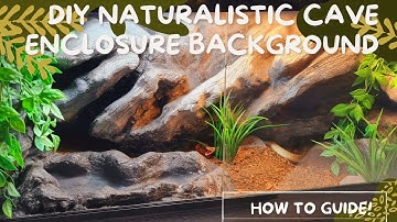 DIY Naturalistic Cave Enclosure Background for Reptiles
