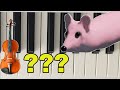 Мышка-сосиска 🐭🎹🎻на разных инструментах