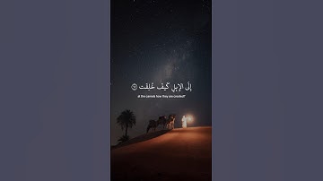 ﴿ أفلَا ينظُرون إلى الإبلِ كيف خُلقت ﴾ ❤️ سوره الغاشيه، عبدالرحمن مسعد #ارح_قلبك #قرآن