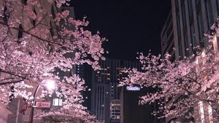 Fi Zillik Episode One 1 A New Story By Hira Subscribe My Channel Thanks For Watching