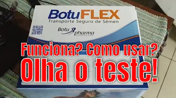 Quanto tempo dura o sêmen do cachorro?