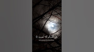 قارئ #اسلام_صبحي ﴿وفي الارض ايات للموقنين﴾