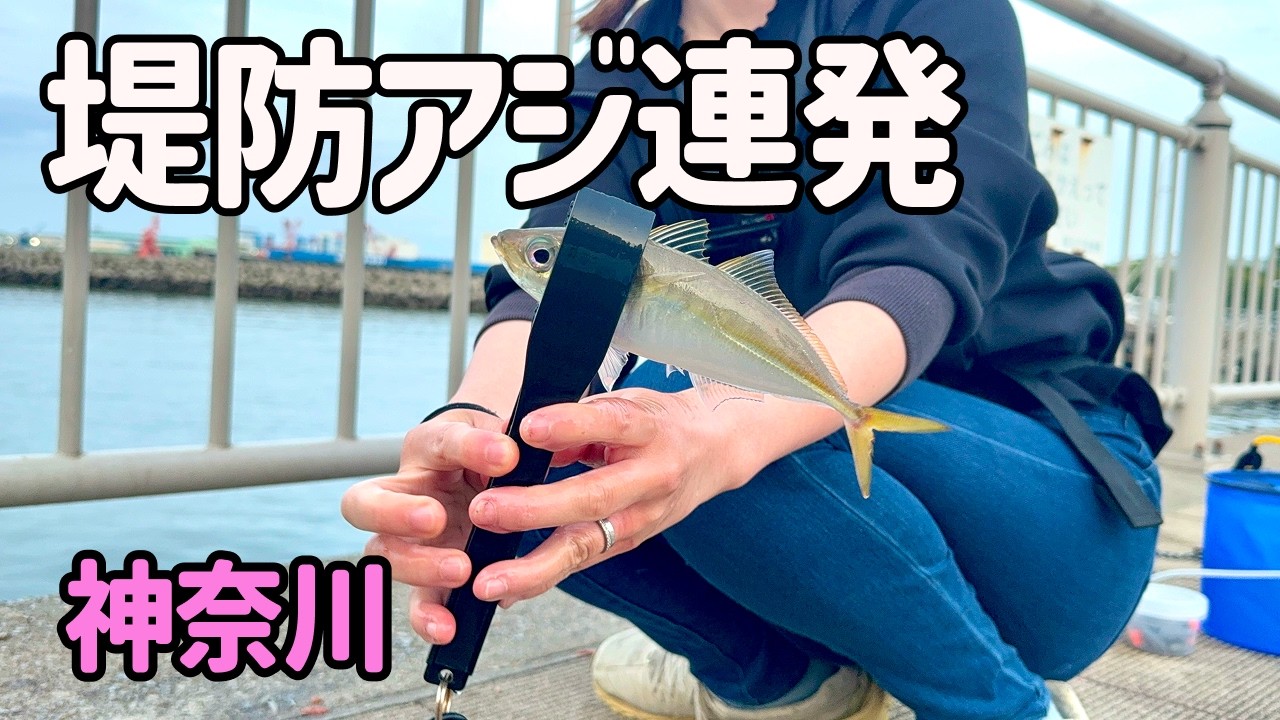 調査のはずがアジ連発!!ウキが沈む瞬間が最高すぎた春のサビキ釣り!そして、新たな出会い！【神奈川釣り】【2025.4】