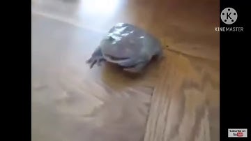 READ THE DESCRIPTION CAUSE I’M REALLY BORED HNNNDJRDDHEGE