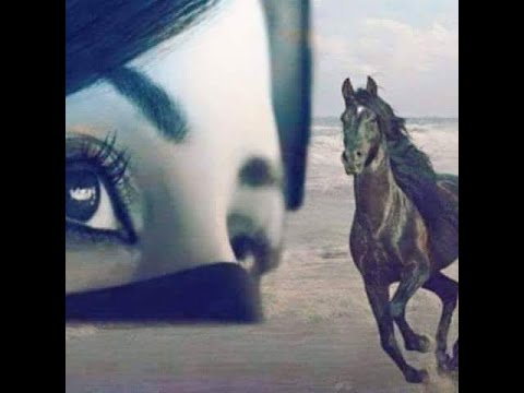 قالوا الصمت يا ناس هيبه