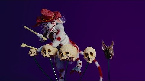 Spooky Scary Lacemaker!