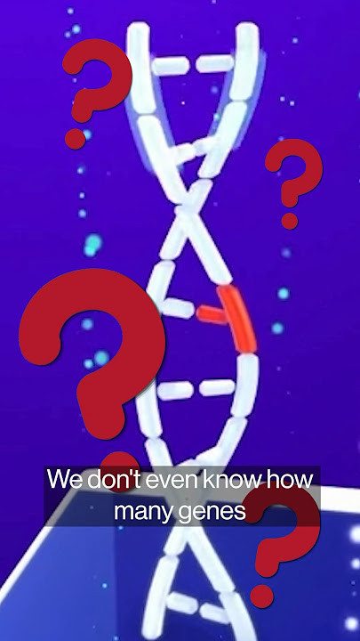 How Accurate Are DNA Tests Like 23andMe?