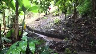 Agricultura Familiar Campesina  alimentado al mundo, enfriando el planeta