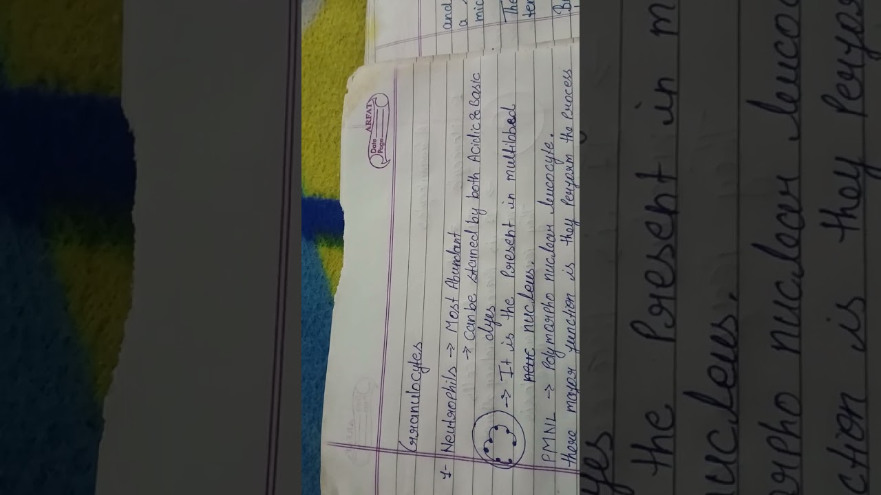 WBC:- (White blood cell) leucocyte 