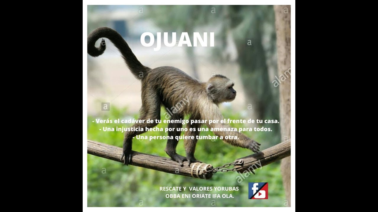 Aprendiendo del Oddun del Dilogun (11 Ojuani)