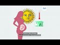 Climate change: How do heatwaves affect pregnancies across Europe?
