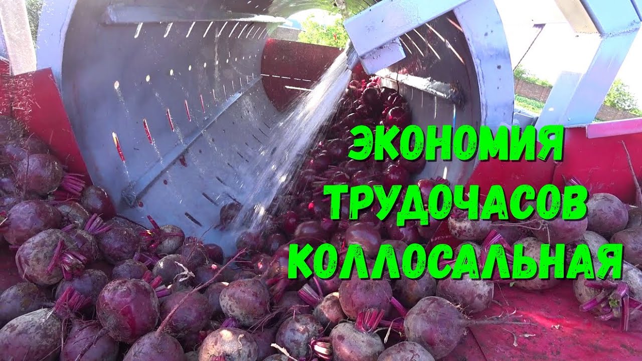 ЭТО ЗАЛЁТ / Самодельная мойка ОВОЩЕЙ / Цена СВЕКЛЫ . - YouTube