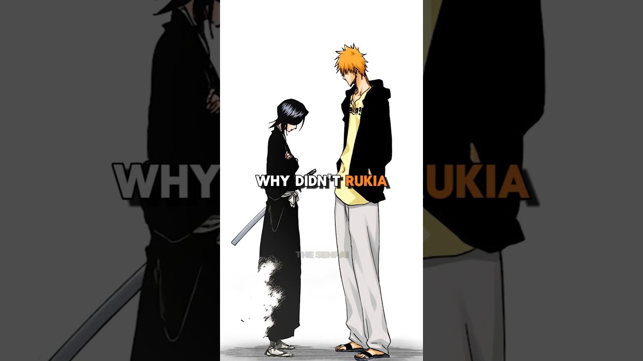 Why Didn't Rukia Use Gigai To See Ichigo? 