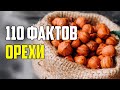 110 ИНТЕРЕСНЫХ ФАКТОВ ОБ ОРЕХАХ