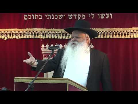 חברה רעה הורסמת ומקלקלת | קצרים | הרב דניאל זר