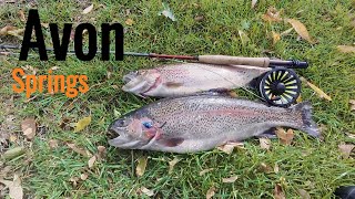 Fly Fishing Avon Springs UK | Catching  Rainbow Trout in Gin Clear Water (First Time Here!)"
