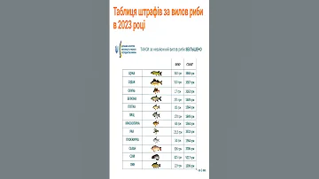 Новые правила рыбалки 2023 #Shorts