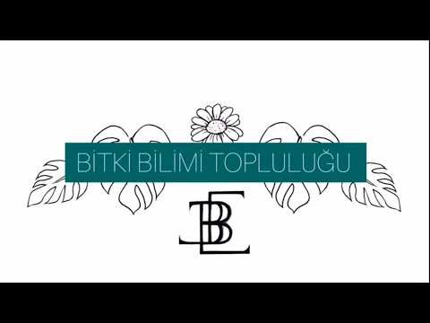 Video: Bitki ıslahında toplu yöntem nedir?