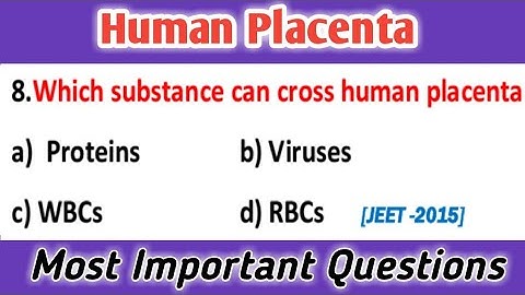 Human Placenta || embryology || developmental biology || general embryology mcq