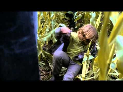 Ty Panitz NCIS S07E09