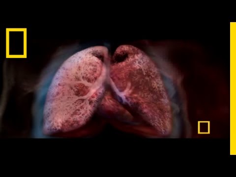Science of Babies | National Geographic