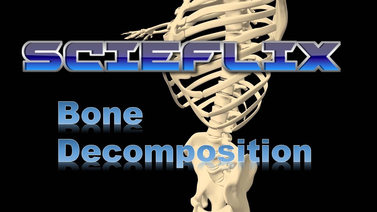 ScieFlix: Bone Decomposition