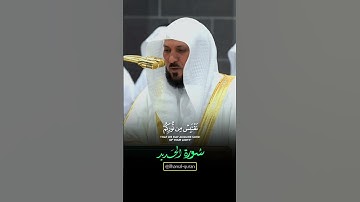 يوم يقول المنافقون والمنافقات || تلاوة مؤثرة من سورة الحديد فضيلة الشيخ #ماهرالمعيقلي