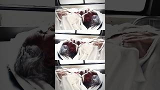 ambulance blogger varanasi to all INDIA treval with ambulance #ambulancelife #shortvideo #vlog #love